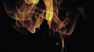 Fire, Flame, Fireplace, Burn, Heat, Jellyfish