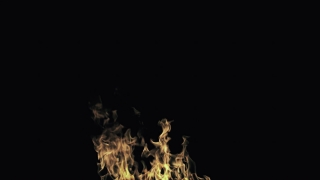 Star, Celestial Body, Light, Black, Energy, Night