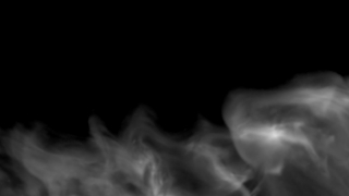 Baby, Fetus, Vertebrate, Smoke, Black, Chordate