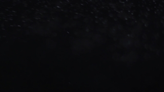 Moon, Star, Space, Celestial Body, Dark, Black