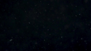 Star, Celestial Body, Space, Night, Stars, Astronomy