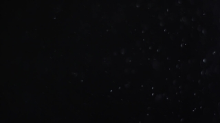 Star, Celestial Body, Space, Night, Stars, Astronomy