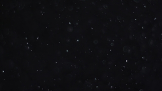 Star, Celestial Body, Space, Stars, Night, Astronomy