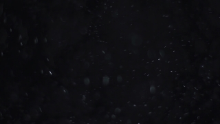 Star, Celestial Body, Space, Astronomy, Stars, Night