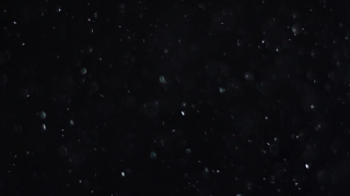 Star, Celestial Body, Space, Stars, Astronomy, Night