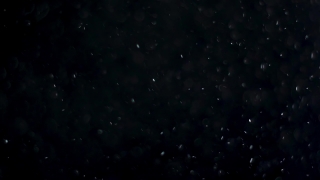 Star, Celestial Body, Space, Astronomy, Stars, Night