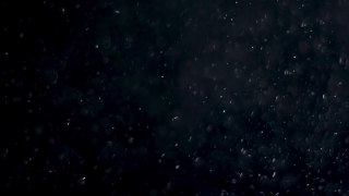 Star, Celestial Body, Space, Stars, Astronomy, Night