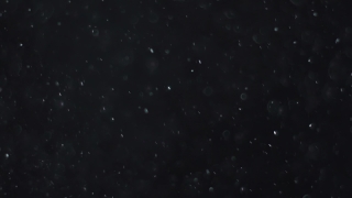 Star, Celestial Body, Space, Stars, Night, Astronomy