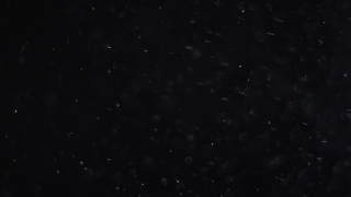 Star, Celestial Body, Space, Stars, Night, Astronomy