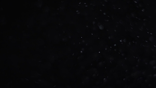 Star, Celestial Body, Space, Stars, Astronomy, Night