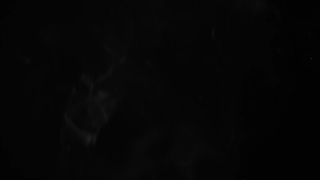 Baby, Fetus, Vertebrate, Chordate, Organism, Black