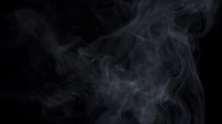 Terrier, Hunting Dog, Dog, Smoke, Black, Light