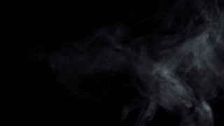 Smoke, Terrier, Black, Hunting Dog, Light, Art