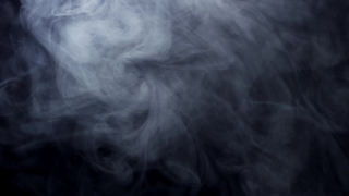 Dog, Terrier, Smoke, Shepherd Dog, Domestic Animal, Canine