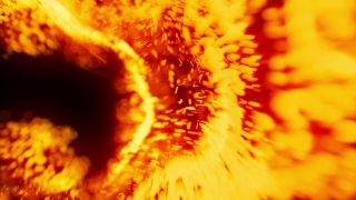 Polyp, Coelenterate, Heat, Invertebrate, Flame, Fire