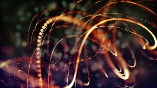 Light, Firework, Night, Carnivorous Plant, Celebration, Fireworks