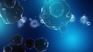 Design, Light, Graphics, Wallpaper, Jellyfish, Backdrop