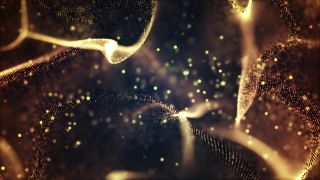 Web, Light, Spider Web, Night, Space, Design