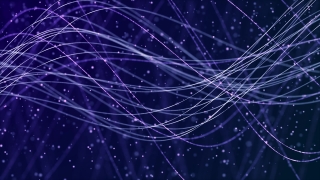Spider Web, Cobweb, Web, Spider, Trap, Light