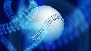 Invertebrate, Coelenterate, Jellyfish, Animal, Baseball, Ball