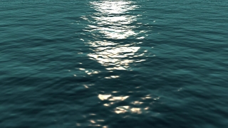 Ocean, Sea, Body Of Water, Water, Baleen Whale, Whale