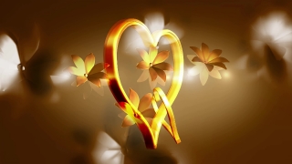 Lighting, Petal, Flower, Blaze, Apparatus, Yellow