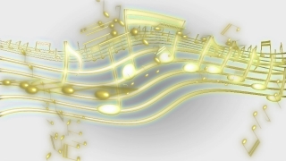 Design, Curve, Decoration, Graphic, Wave, Shape