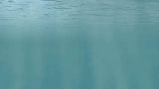 Ocean, Sea, Body Of Water, Water, Beach, Sky
