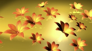 Maple, Island, Floral, Design, Decoration, Pattern