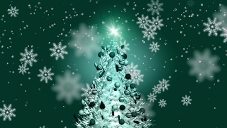 Fir, Snow, Winter, Snowflake, Decoration, Year