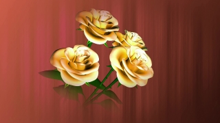 Lily, Flower, Bouquet, Roses, Rose, Petal