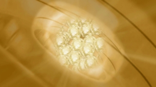 Garlic, Food, Gold, Yellow, Glass, Closeup
