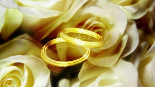 Pasta, Rose, Petal, Flower, Food, Wedding