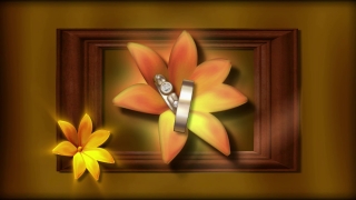 Flower, Petal, Spa, Yellow, Floral, Bloom