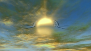 Sun, Sunset, Sky, Clouds, Sea, Sunrise