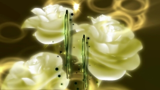 Pollen, Flower, Plant, White, Blossom, Spring