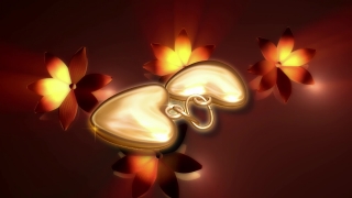 Light, Design, Fractal, Art, Color, Shape