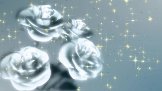 Ice, Crystal, Snow, Solid, Snowflake, Design