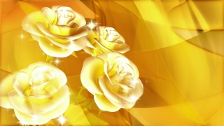 Silk, Yellow, Design, Light, Color, Flower