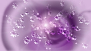 Lilac, Light, Star, Design, Wallpaper, Graphic
