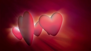 Tulip, Pink, Valentine, Love, Celebration, Heart