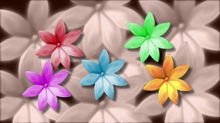 Island, Decoration, Flower, Ribbon, Bow, Silk