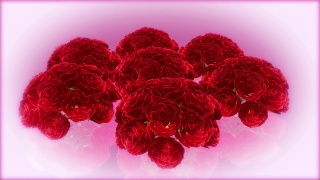 Bouquet, Flower Arrangement, Arrangement, Decoration, Rose, Flower