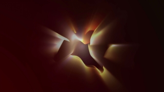 Candle, Sun, Light Bulb, Star, Light, Flame