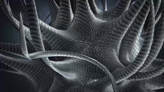 Net, Texture, Pattern, Spider Web, Web, Design