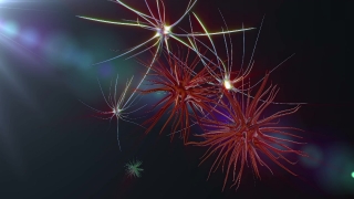 Firework, Explosive, Fireworks, Night, Celebration, Festival