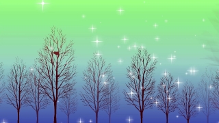 Plant, Dandelion, Grass, Herb, Spring, Sky