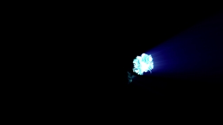 Fiber, Firework, Night, Light, Star, Black