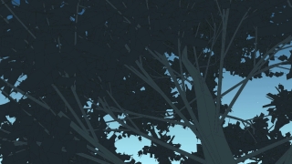 Tree, Sky, Light, Sun, Design, Wallpaper