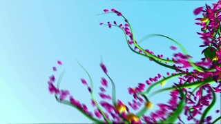 Pink, Tree, Design, Japan, Branch, Decoration